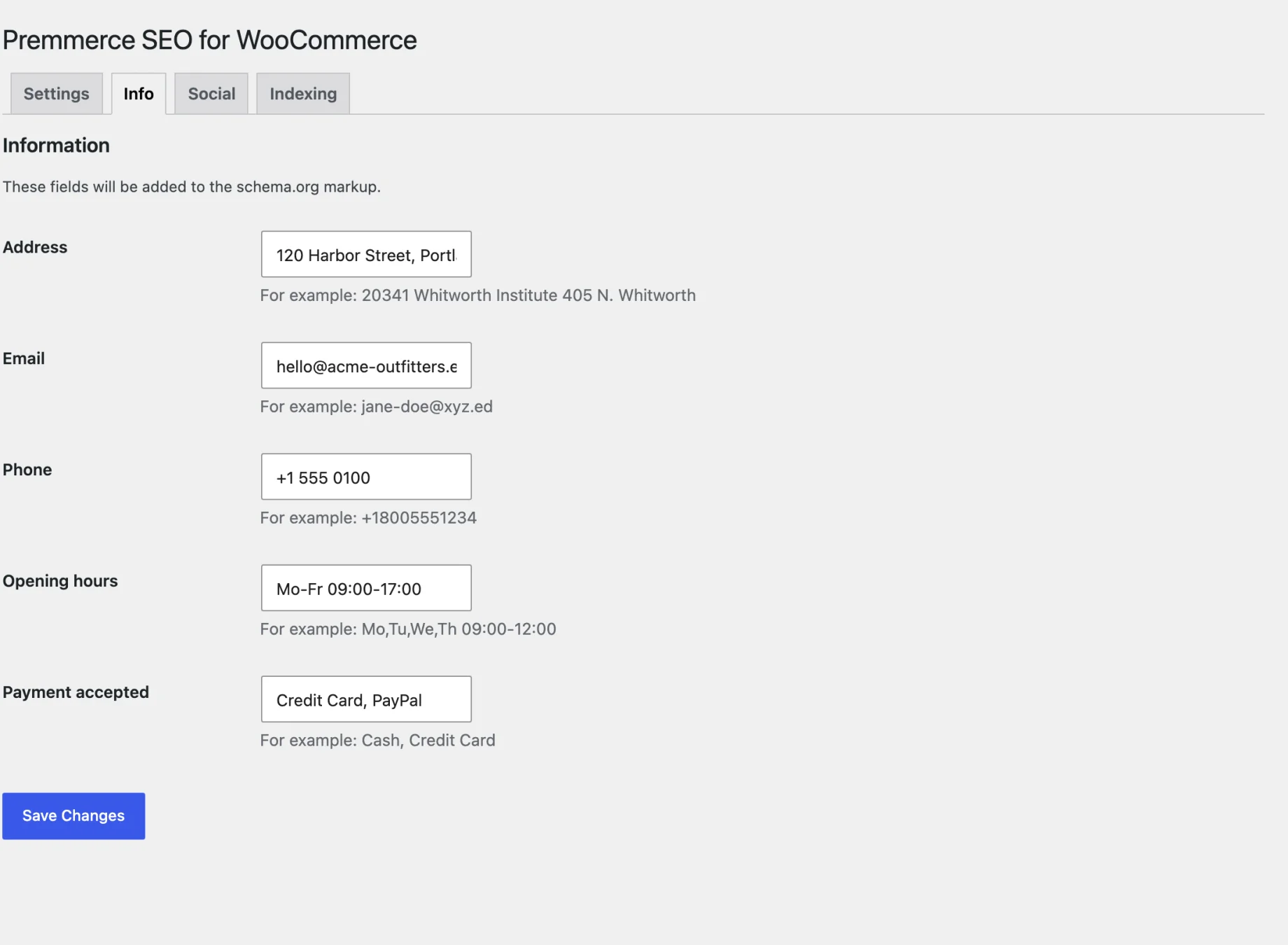 The Info tab, where the store address, email, phone, opening hours and payment methods for the schema are entered